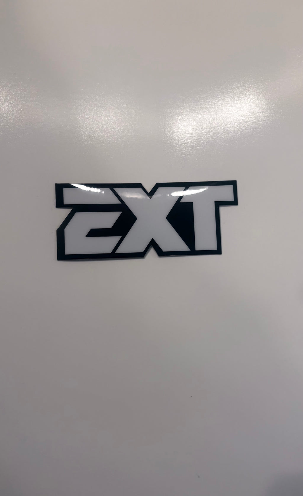 EXT Fork Tube Decals